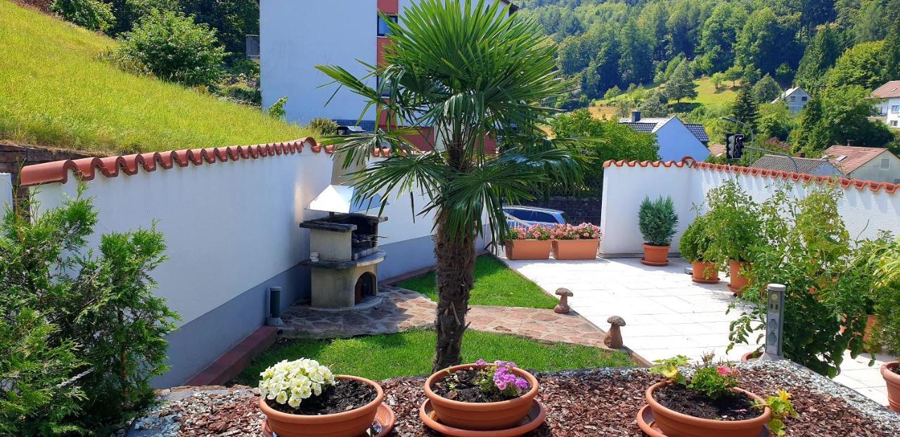 Apartmenthaus Zum Löwen - Ziegelhausen Heidelberg