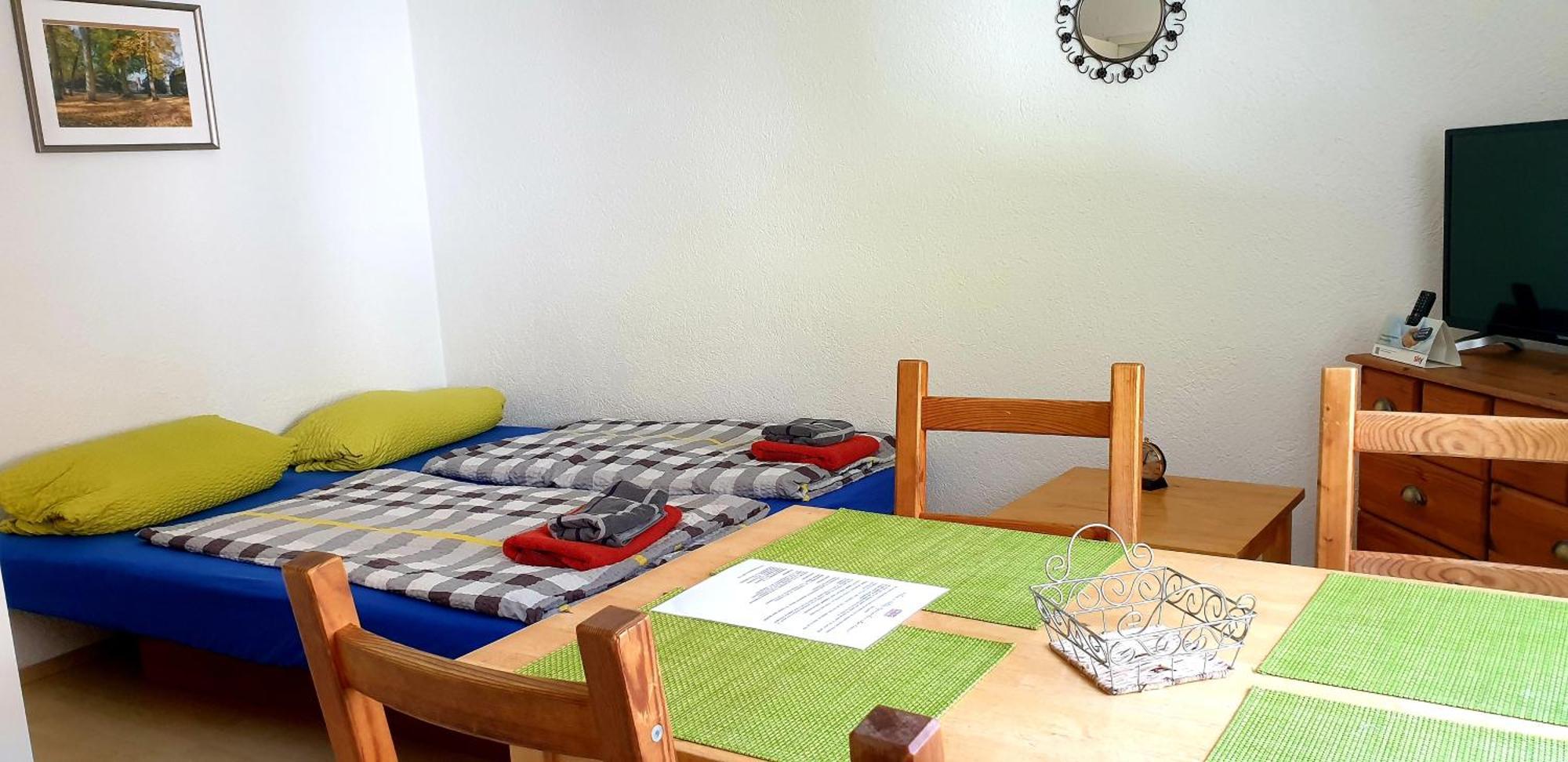 Apartmenthaus Zum Löwen - Ziegelhausen Apartment