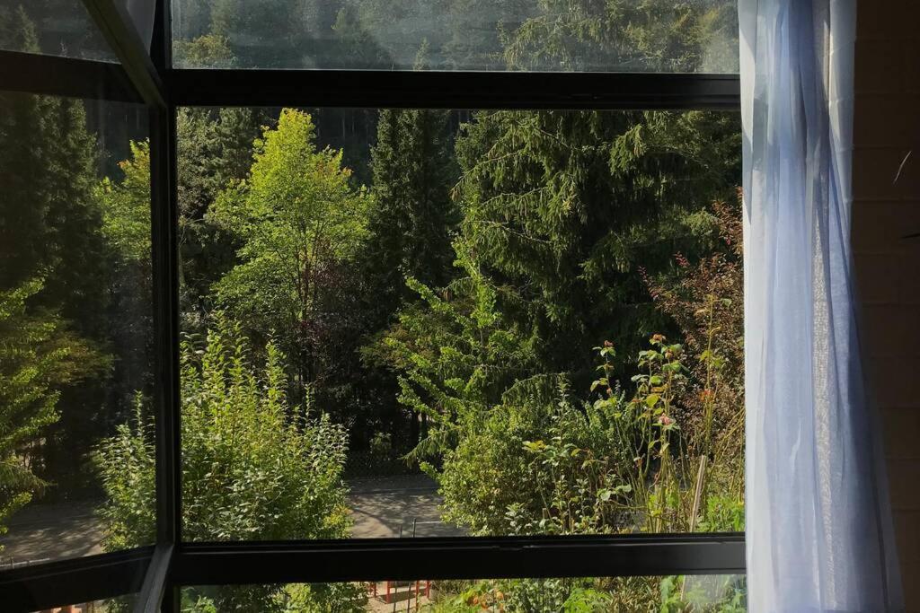 Exklusive Miro 25 M² In Ruhiger Lage
