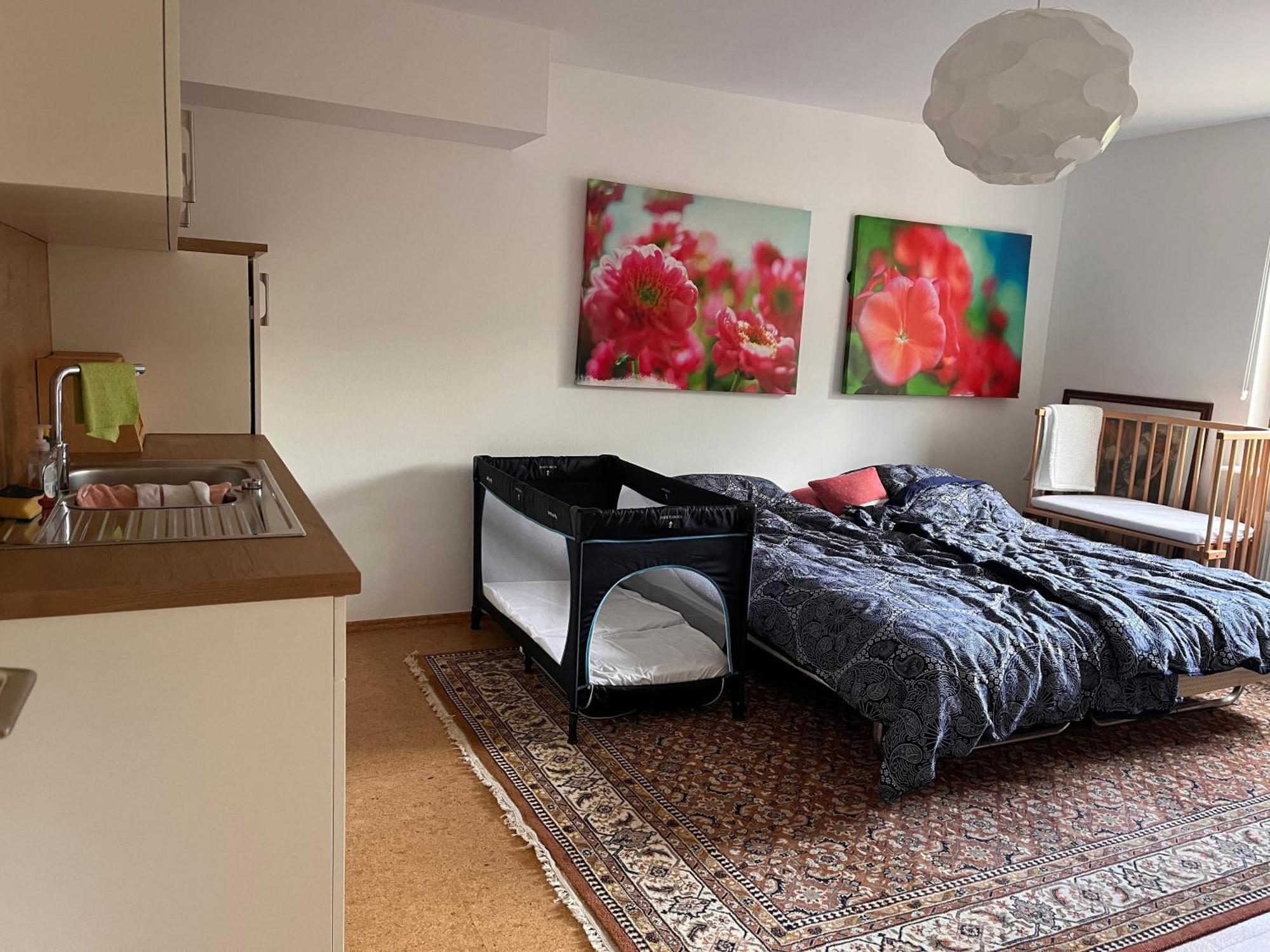 Appartement Ruhiges Direkt In S-bahn-naehe Heidelberg