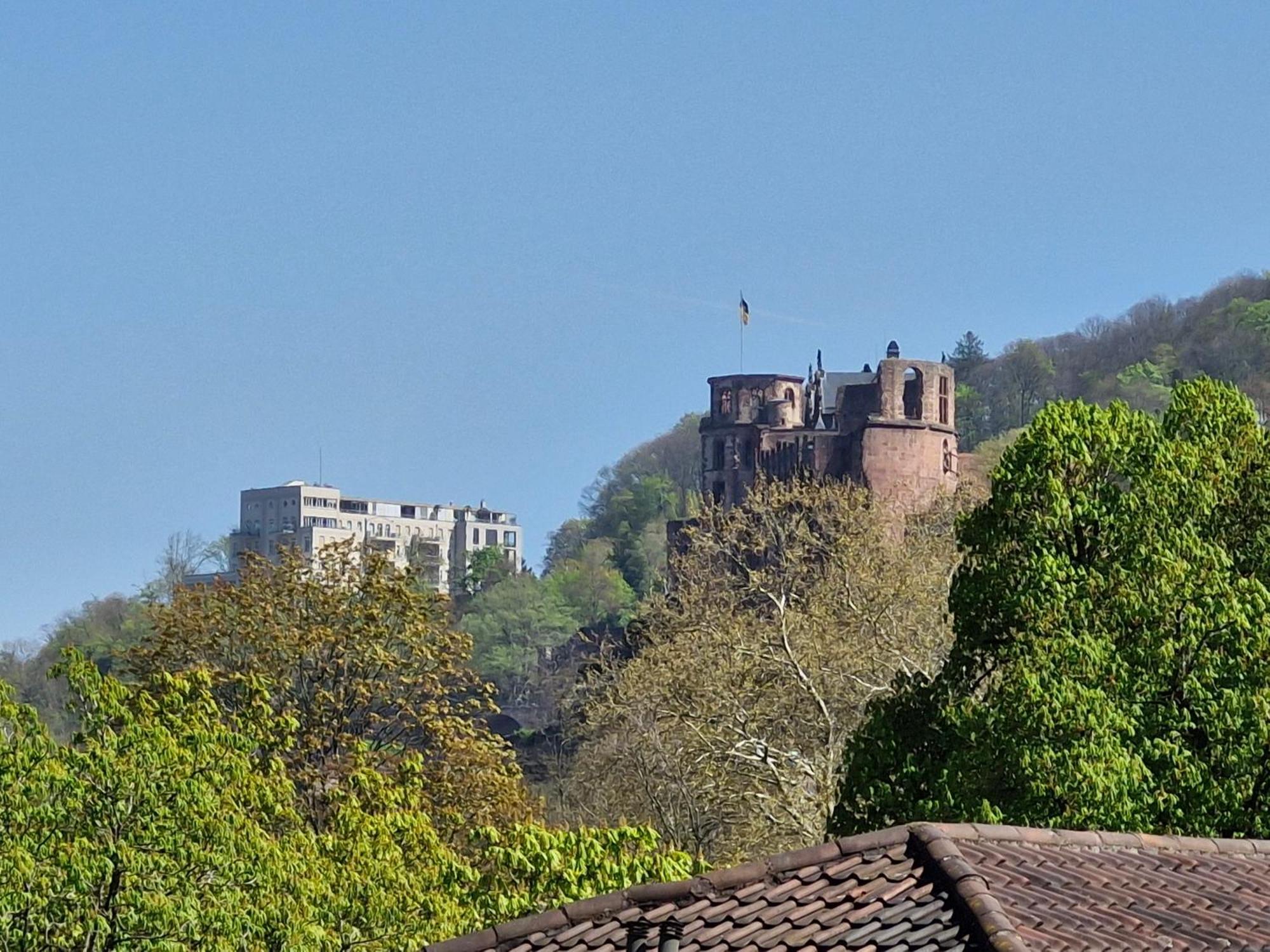 Appartement Altstadtblick