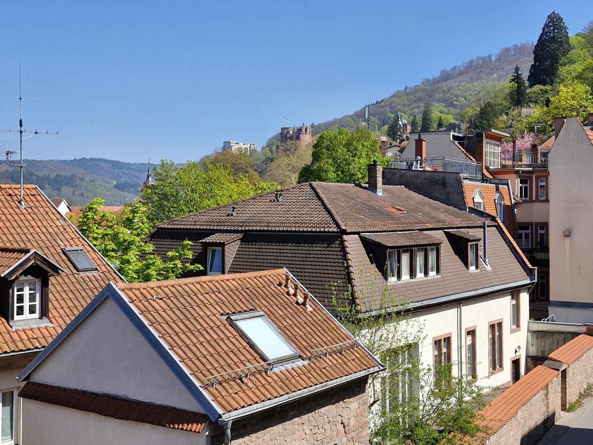 Appartement Altstadtblick *