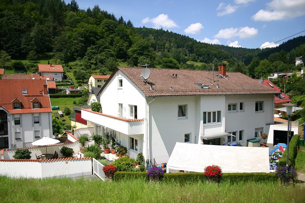 Apartmenthaus Zum Löwen - Ziegelhausen Apartment