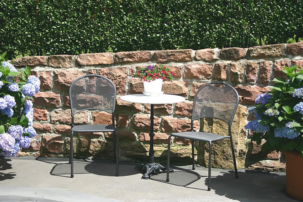 Apartmenthaus Zum Löwen - Ziegelhausen