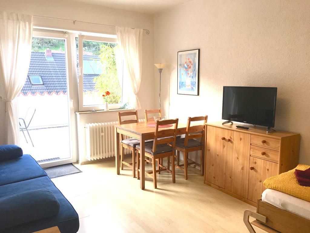 Apartmenthaus Zum Löwen - Ziegelhausen * Heidelberg