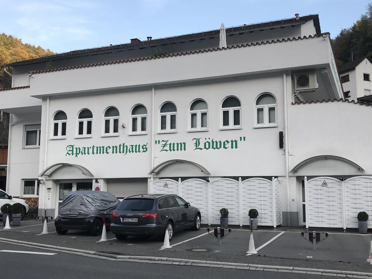 Apartmenthaus Zum Löwen - Ziegelhausen Apartment *