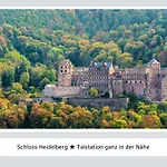 Charmante Altbauwohnung Im Herzen Der Altstadt