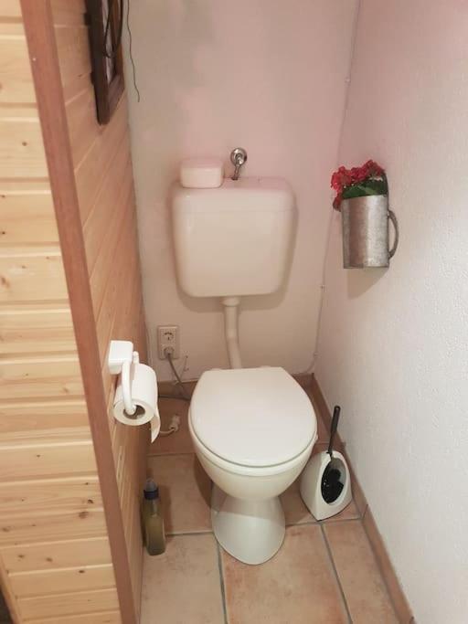 Homestay Grosses In Souterrain Heidelberg