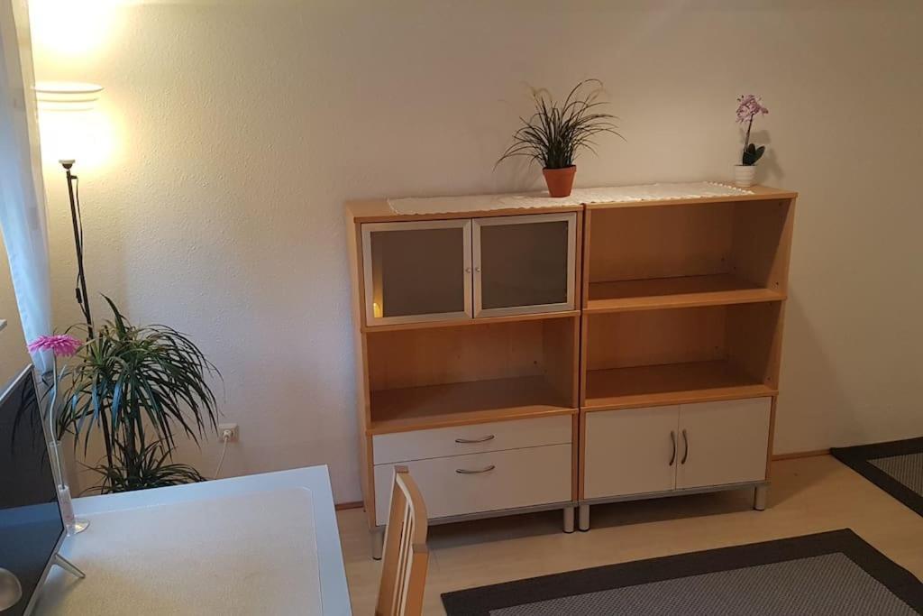 Homestay Grosses In Souterrain Heidelberg