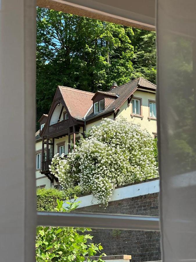 Maison d'hôtes Burgfreiheit Heidelberg