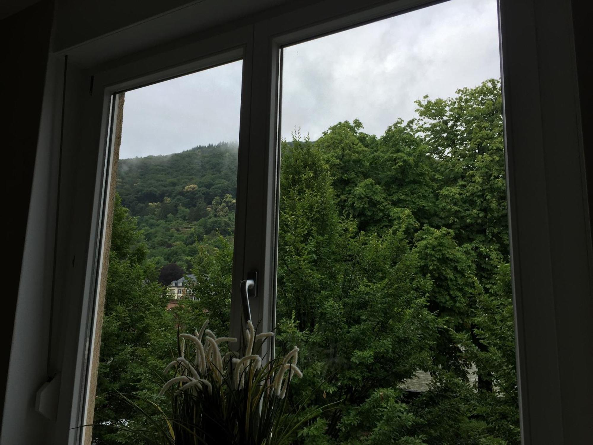 Hotel Zur Alten Brucke Heidelberg