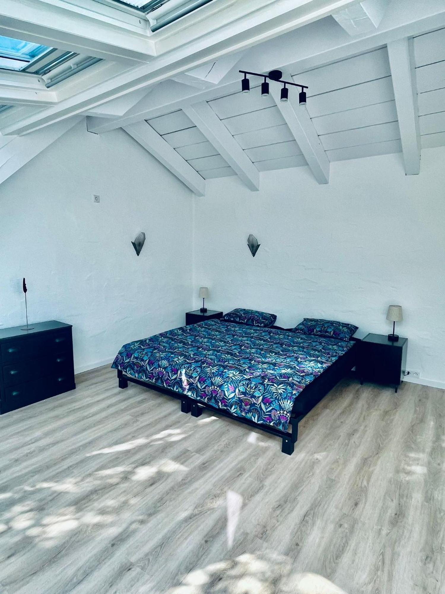 Penthouse Overlooking The Neckar Heidelberg