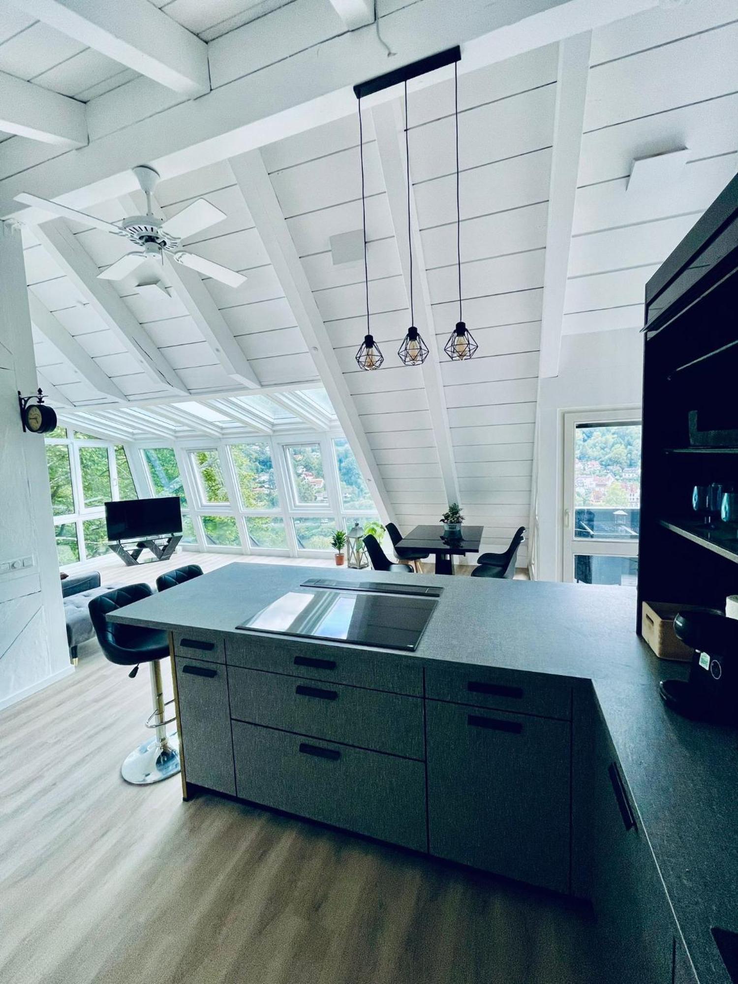 Penthouse Overlooking The Neckar