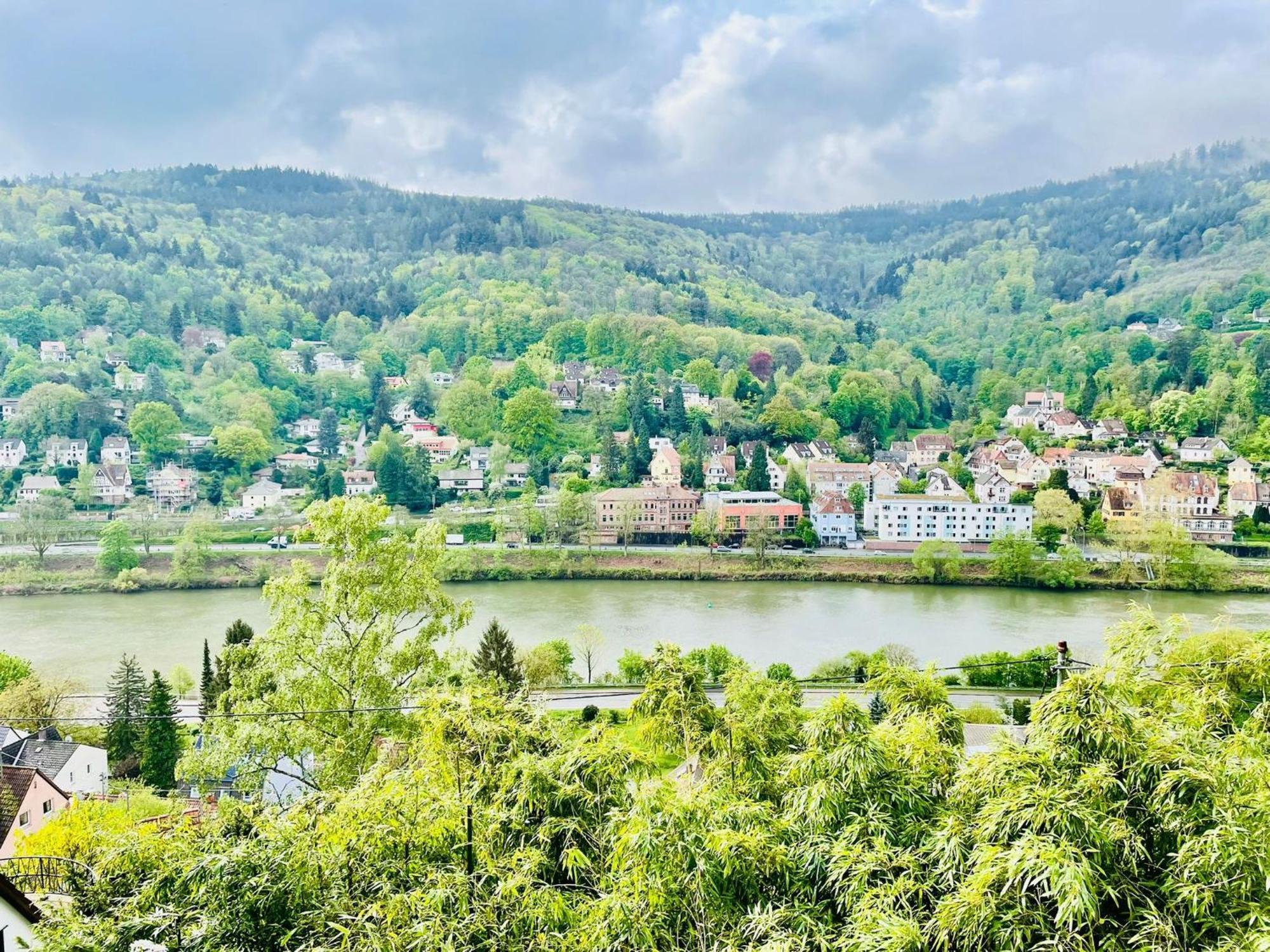 Penthouse Overlooking The Neckar Apartment Heidelberg