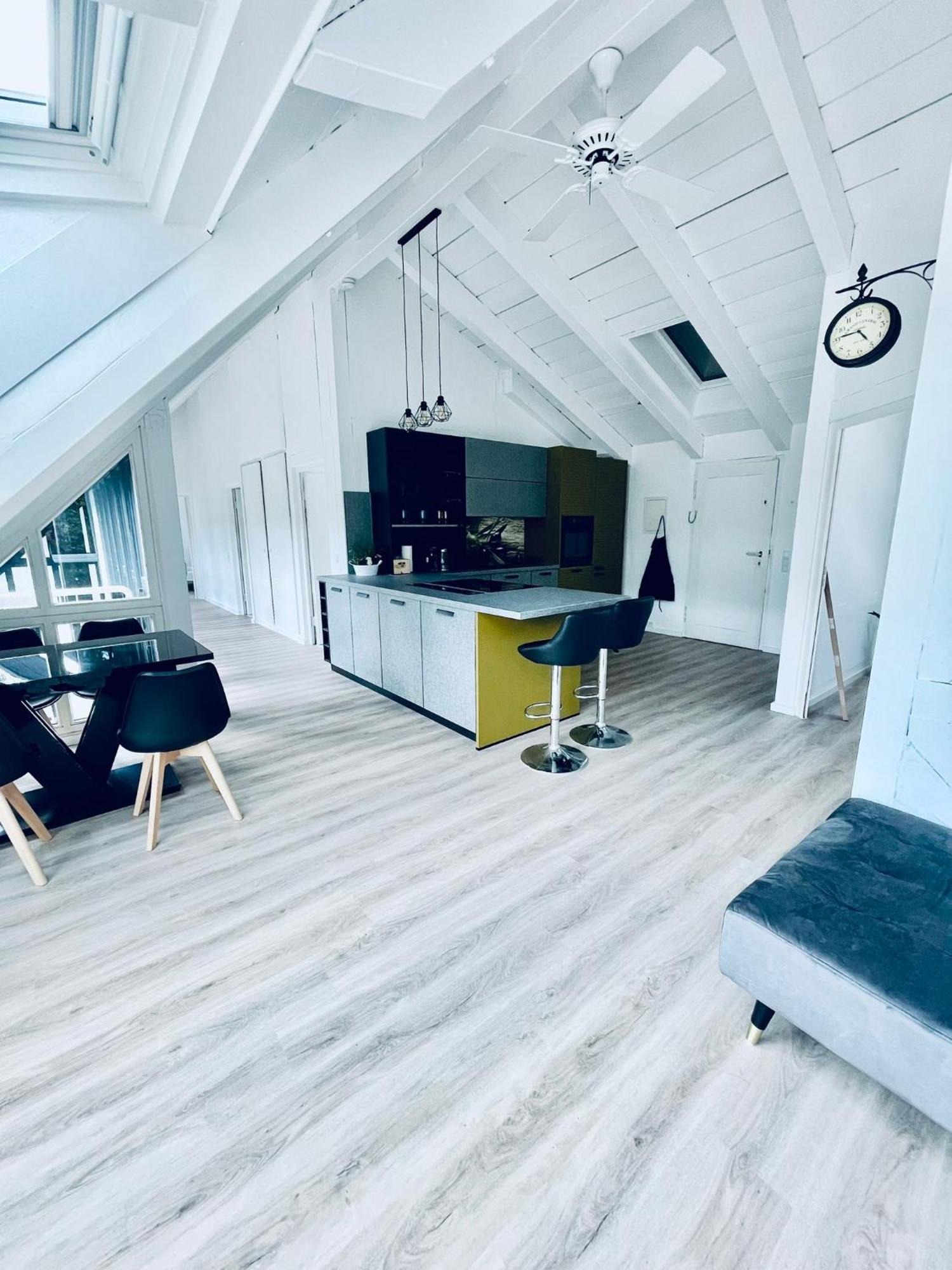 Penthouse Overlooking The Neckar Heidelberg