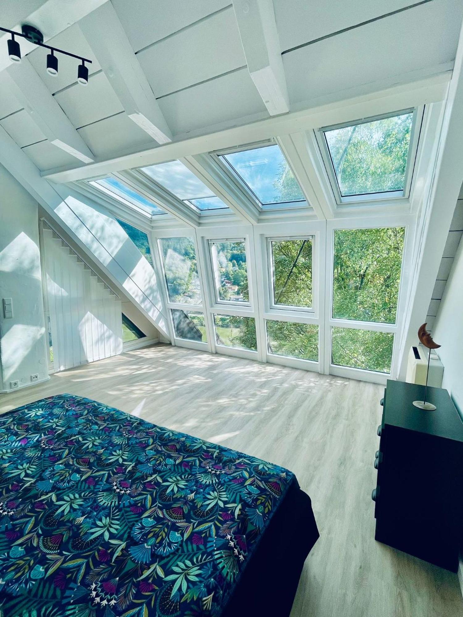 Apartment Penthouse Overlooking The Neckar Heidelberg