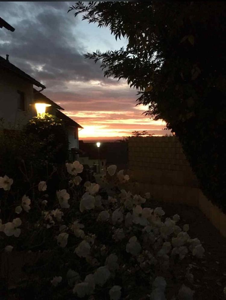 Im 1 Og In Einem Reihenhaus Mit Gemeinschaftlichen Zimmern Homestay *