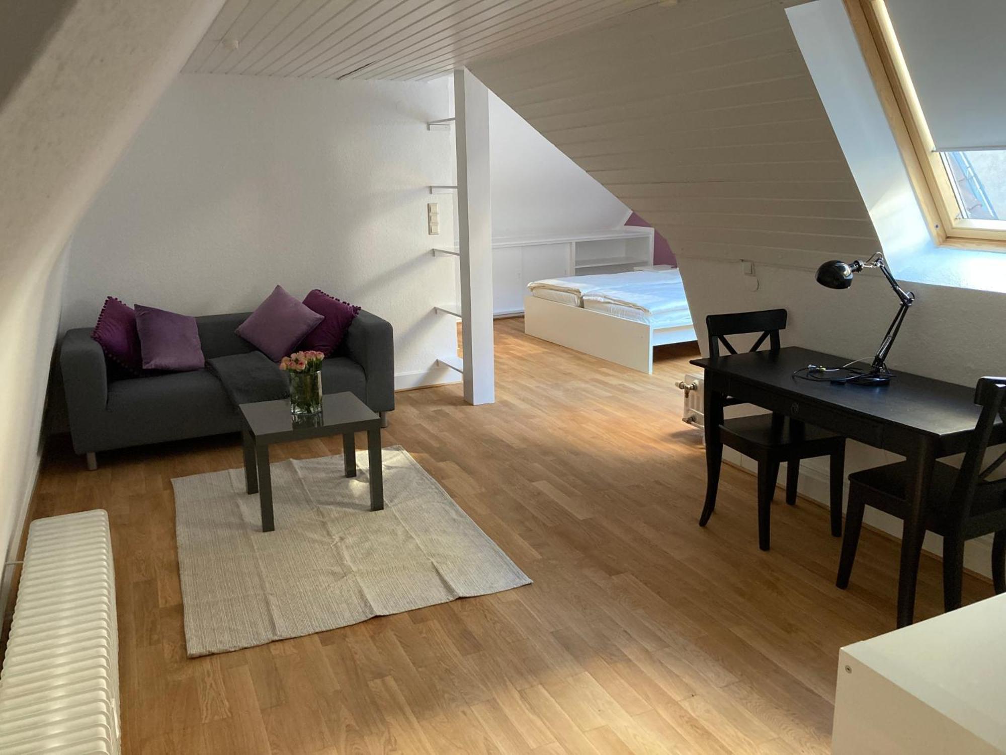 Apartment Alte Brücke Heidelberg
