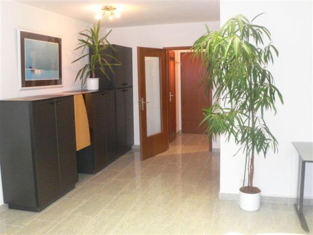 Ferienwohnung Gollas Heidelberg