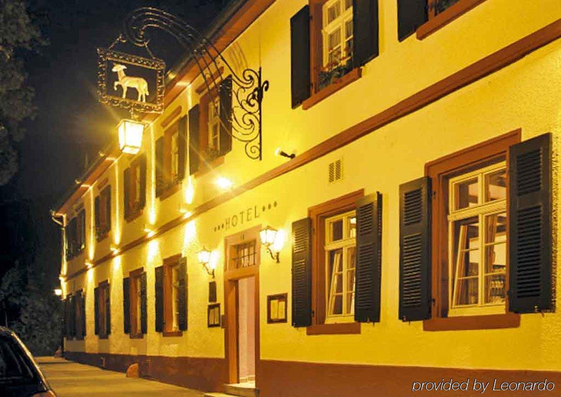 Lamm Hotel Heidelberg