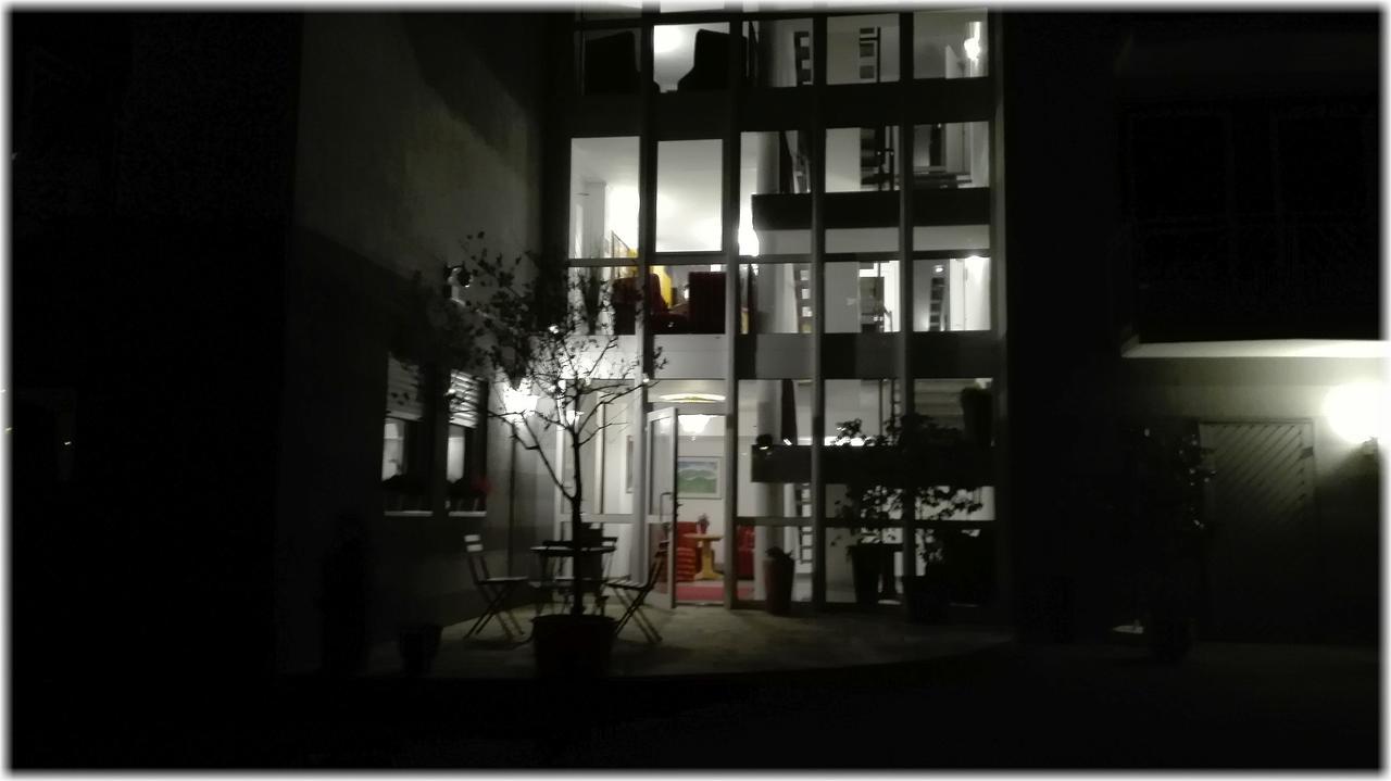 Neckarlux Heidelberg